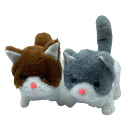 sa1298 Котики мяу-мяу