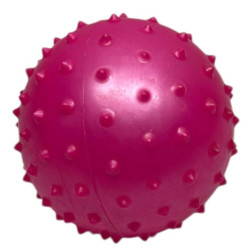CR2533